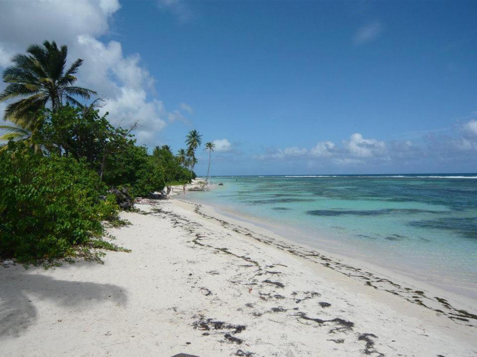 Alizes Bungalows Sainte-Anne  Buitenkant foto