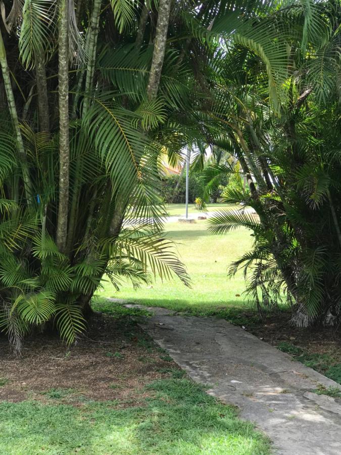 Alizes Bungalows Sainte-Anne  Buitenkant foto