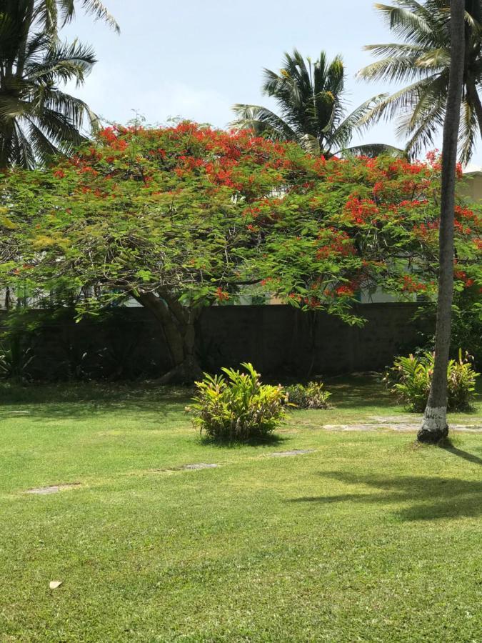 Alizes Bungalows Sainte-Anne  Buitenkant foto